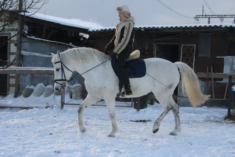 IMG_1686.jpg1.jpg"%20height="533"%20width="800